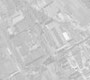 Центр чистокровного разведения среднеазиатской овчарки